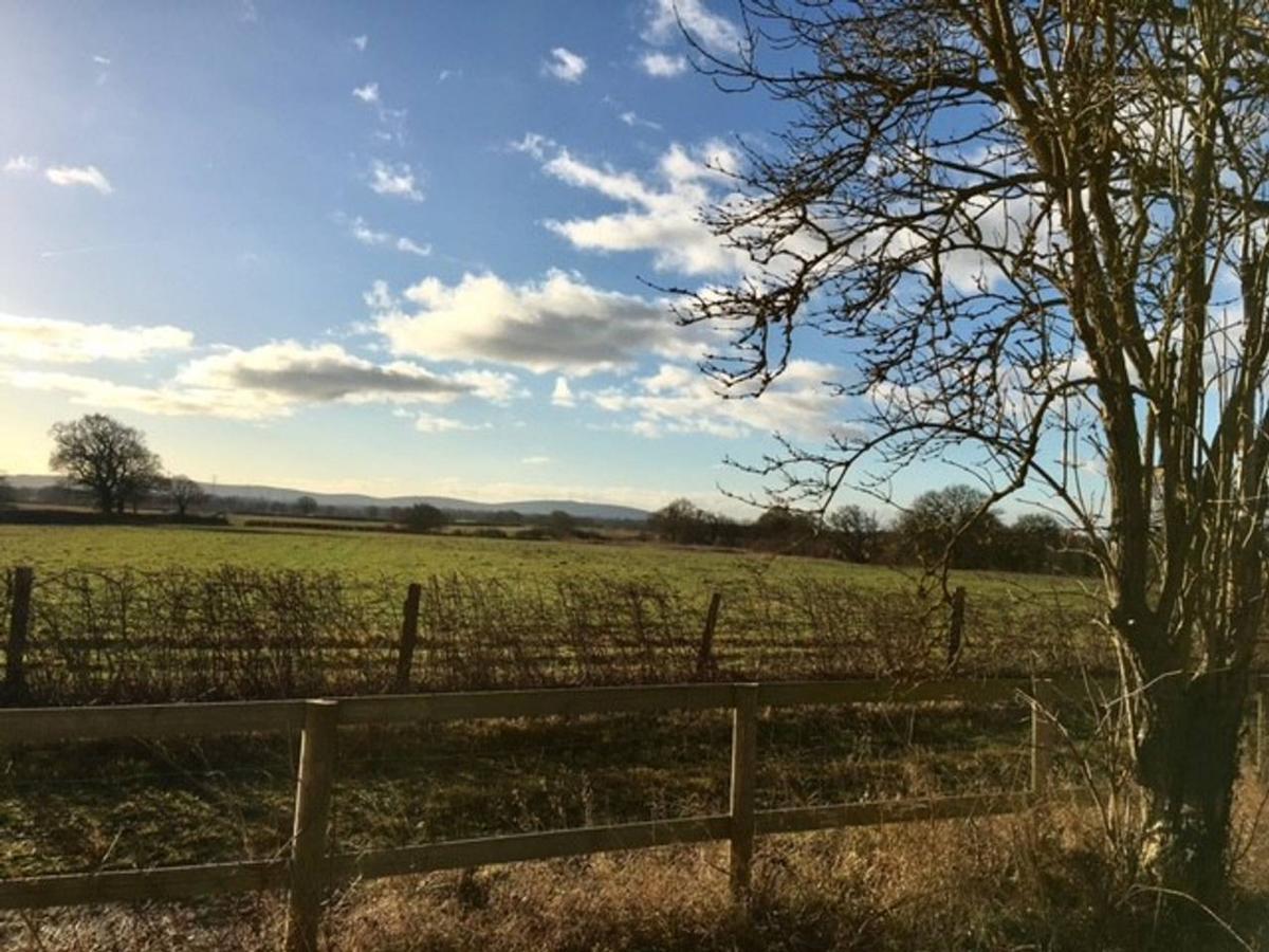 South Cottage - Rural Gem In The Heart Of The Sussex Countryside Twineham Екстериор снимка