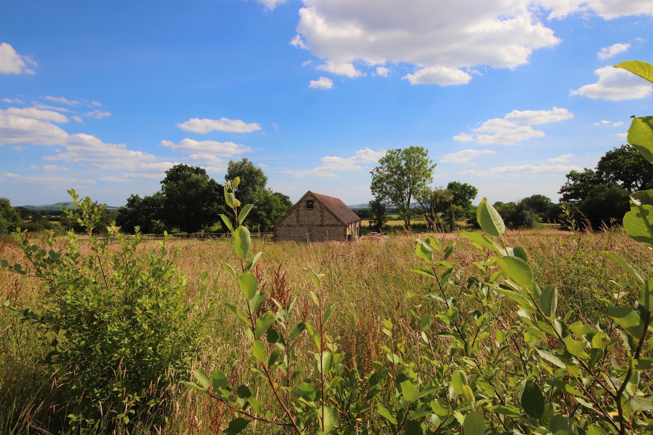 South Cottage - Rural Gem In The Heart Of The Sussex Countryside Twineham Екстериор снимка